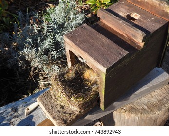 cleaning of a nesting box 