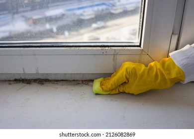 Cleaning The Plastic Window Sill From Mold And Dirt. A Woman In Rubber Gloves Wipes The Windowsill With A Sponge. Space For Text.