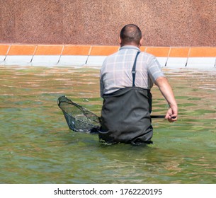 Cleaning the pool of debris with a cleaning net.