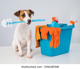 Cleaning products in a bucket and a dog holding a toilet brush on a white background.