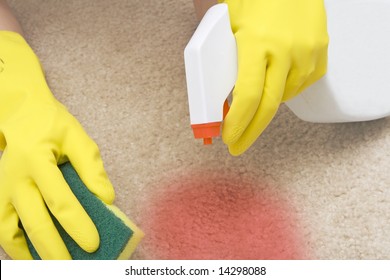 cleaning red stain on a carpet with a sponge