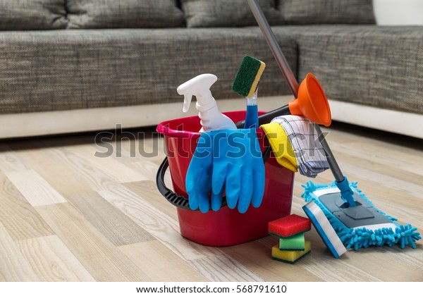 Cleaning service. Bucket with sponges,\
chemicals bottles and mopping stick. Rubber gloves, plunger and\
towel. Household\
equipment.