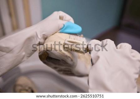 Cleaning Sneakers A Comprehensive Step-by-step Maintenance Guide for Optimal Care