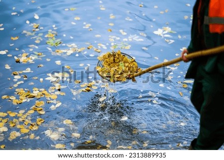 Cleaning swimming pond in the park from fallen leaves with special mesh closeup in autumn, work in city outdoors