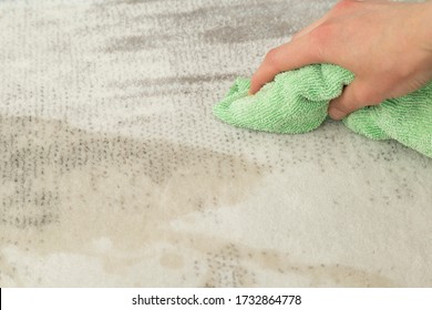 Cleaning the tea-spilled carpet with special cloth.