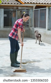 Cleaning Time For Kennel Assistant