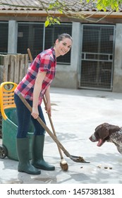 Cleaning Time For Kennel Assistant