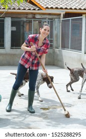 Cleaning Time For Kennel Assistant