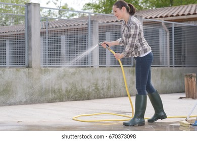 Cleaning Time For Kennel Assistant