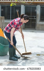 Cleaning Time For Kennel Assistant