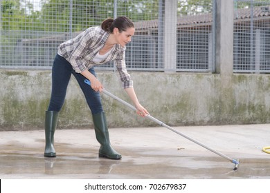 Cleaning Time For Kennel Assistant