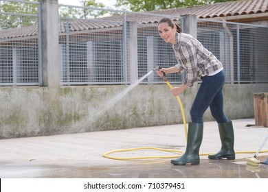 Cleaning Time For Kennel Assistant