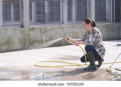 Cleaning Time For Kennel Assistant