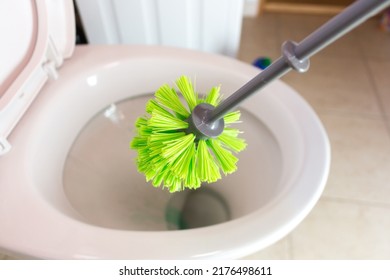 Cleaning the toilet, using a toilet brush, cleaning. Home cleaning and toilet sanitation.