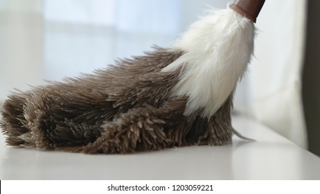 Cleaning Using A Ostrich Feather Duster.