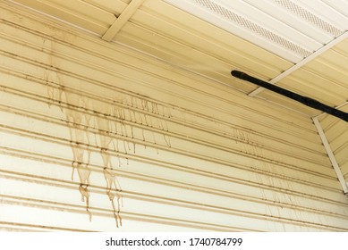 Cleaning The Vinyl Siding Wall With A High-pressure Washer.