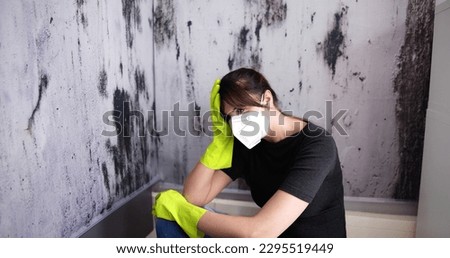 Cleaning Wet Wall Mold. Home Apartment Mould
