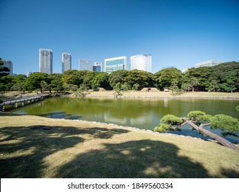 Hamarikyu Hd Stock Images Shutterstock