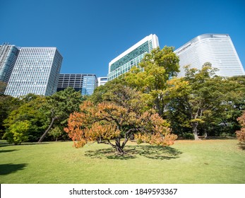 Hamarikyu Gardens High Res Stock Images Shutterstock