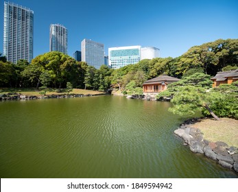 Hamarikyu Gardens High Res Stock Images Shutterstock