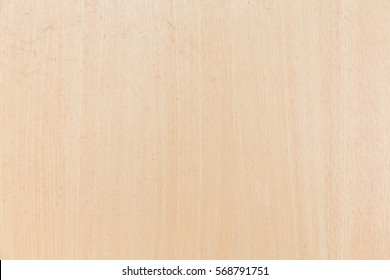 Beech Color Hd Stock Images Shutterstock