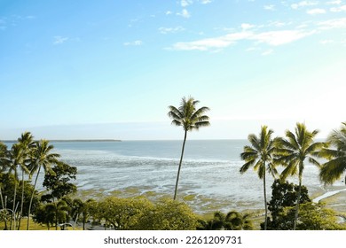 Clear blue skies and swaying palm trees over the mudflats at Cairns Esplanade — Coral Sea, Cairns; Far North Queensland, Australia - Powered by Shutterstock
