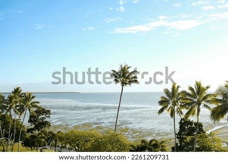 Clear blue skies and swaying palm trees over the mudflats at Cairns Esplanade — Coral Sea, Cairns; Far North Queensland, Australia