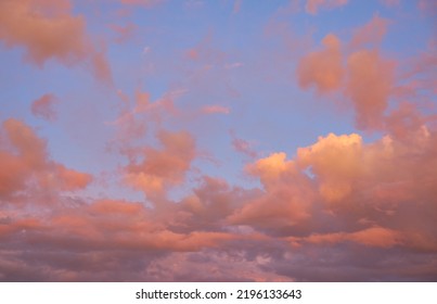 Clear blue sky. glowing pink and golden cirrus and cumulus clouds after storm, soft sunlight. Midnight sun. Dramatic sunset cloudscape. Meteorology, weather themes. Picturesque panoramic scenery - Shutterstock ID 2196133643