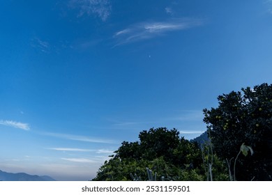 Clear blue sky with wispy clouds and the faint outline of a crescent moon in the center. Dense green shrubs and orange tree along with it. The tops of distant hazy mountains are visible under the sky. - Powered by Shutterstock