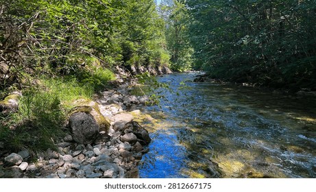 Clear blue stream flows through a lush forested canyon with rocky banks and overhanging green trees
