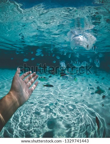 Similar – under the sea