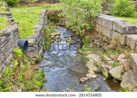 A clear brook meanders through stone walls and green foliage at the historic Cheesden Lumb Mill in Bury, UK.