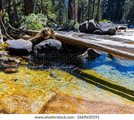 The Clear Cold Pools of The Marble Fork Kawaeah River on The Tokopah  Falls Trail, Sequoia National Park, California, USA
