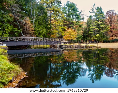 Clear Creek State Park near Clarion, Pennsylvania in the fall with the fallen leaves and fall foliage trees in the woods reflecting in the water and nature