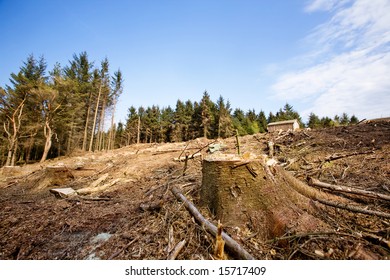 A clear cut block with a tree stump in the foreground - Powered by Shutterstock