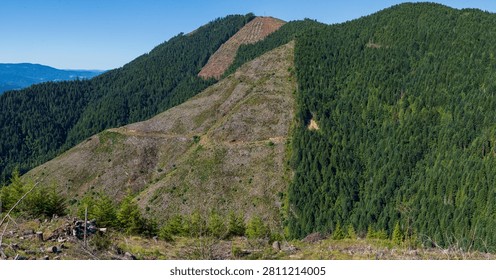 Clear cut  and logging operation in Western Oregon.