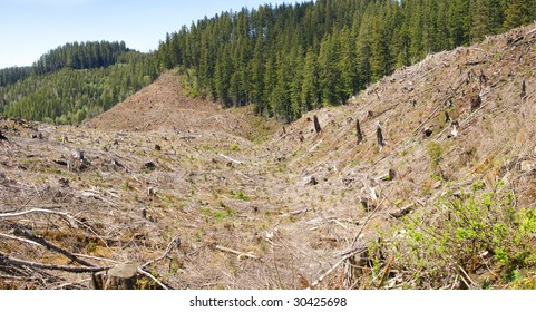 13,797 Deforestation of mountain Images, Stock Photos & Vectors ...