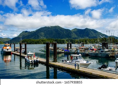 Clear day at the beautiful marina - Tofino, Vancouver Island, BC, Canada