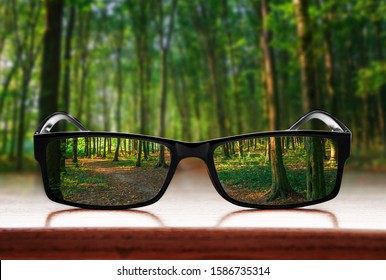 Clear forest in glasses on the background of blurred forest - Shutterstock ID 1586735314
