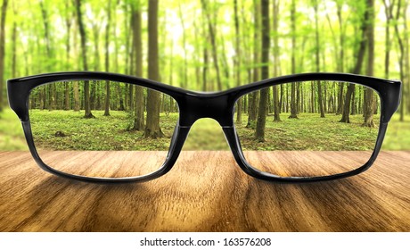 Clear forest in glasses on the background of blurred forest  - Shutterstock ID 163576208