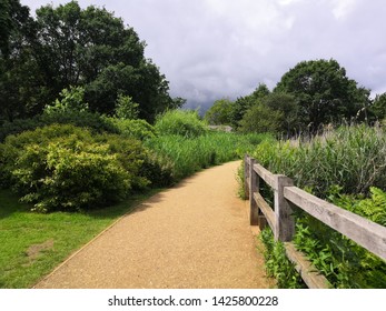 Clear Golden Path Through Trees And Shrubs With Overcast Sky 