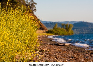 Clear Lake In California.