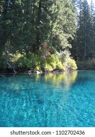 Clear Lake Oregon