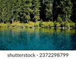 Clear Lake is a clear, turquoise blue.  It is located in the Willamette National Forest in Oregon.