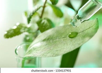 Clear Liquid Dropping From Pipette On Leaf Against Blurred Background, Closeup. Plant Chemistry