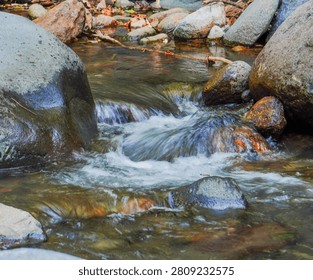 A clear mountain river flows swiftly over natural rocks and stones in a peaceful forest landscape, creating small beautiful cascades and fresh splashes on a sunny day.
