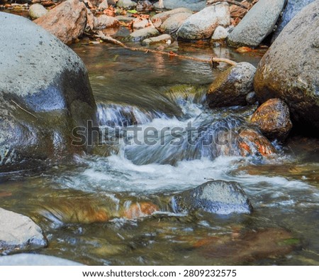 A clear mountain river flows swiftly over natural rocks and stones in a peaceful forest landscape, creating small beautiful cascades and fresh splashes on a sunny day.