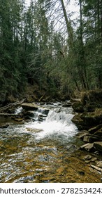 A clear mountain river flows through a dense, verdant forest with fallen logs and rocky banks