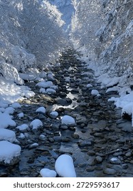 Clear mountain stream flowing between snow covered stones in a quiet winter forest, surrounded by frosted trees and fresh snowfall under cold natural daylight.