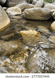 Clear Mountain Stream Flowing Over Rocks with Natural Ripples and Fresh Water Texture